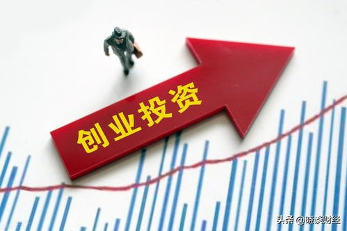 全面注冊制下創投行業迎來歷史性機遇，龍頭股價值重塑在即